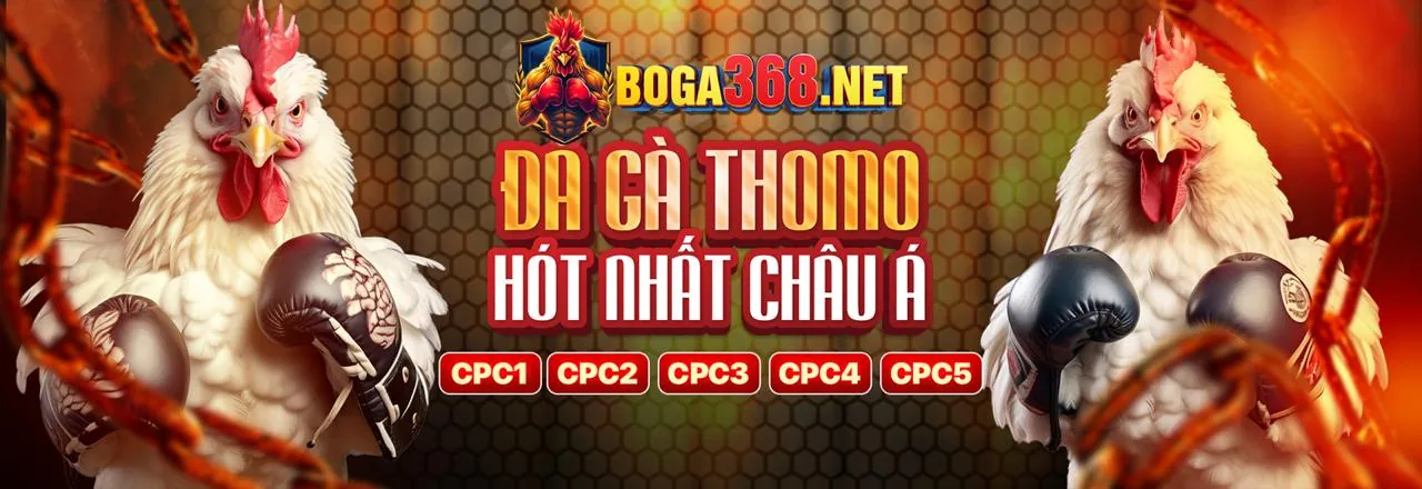 Đội ngũ vipwwin đăng nhập và tầm nhìn chiến lược